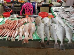 -三亚新鸿港水果一级批发市场