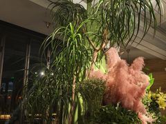 -春暖花开(西溪店)