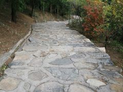 -北京鹫峰国家森林公园