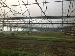 -1369冰火锅(木北路店)