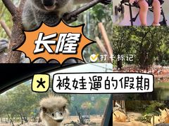 -广州长隆野生动物世界