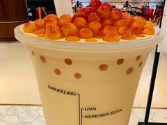 -KOI Thé(力宝广场店)