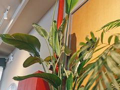 -Wagas沃歌斯(汇智店)