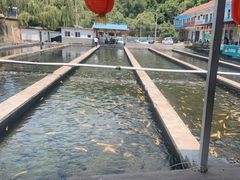 -青龙潭鱼庄