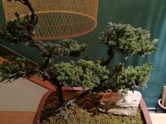 -行者素食(国赫红珊湾店)