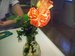 -蝶舍·MAISON PAPILLON