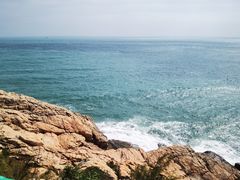 -广东惠东海龟国家级自然保护区