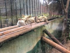 -昆明动物园