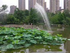 -龙头寺公园