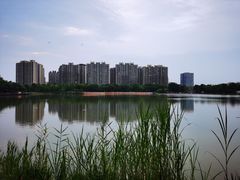 -南翔镇银翔湖公园