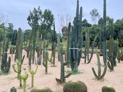 -东莞植物园