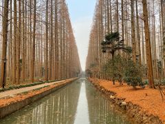 -上海怡沁园度假酒店