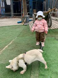 -萌宠亲子动物乐园(槐房万达店)