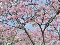 -金成潮菜博物馆(海珠湿地店)