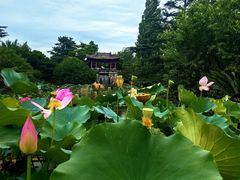 -国家植物园南园