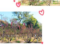 -桃花涧
