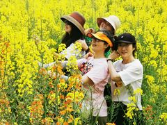 -洪湖家庭农场·团建·露营·会议
