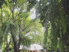 -Fern Forest Cafe