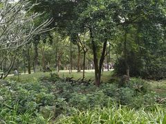 -玉树公园
