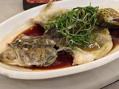 桂花鱼-容州国际大酒店