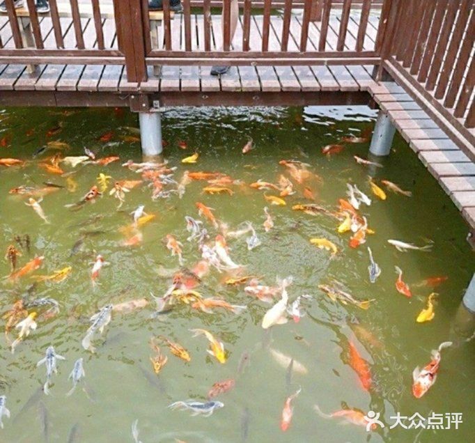 有趣的[调皮]亲子团建