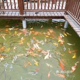 有趣的[调皮]亲子团建