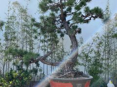 -龙华寺