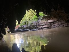 -怀托摩萤火虫洞