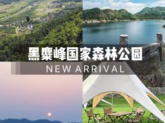 -长沙黑麋峰国家森林公园