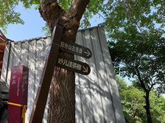 -阳台山自然风景区