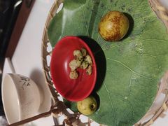 -假装苏杭·迎春花与梅(陆家嘴中心店)