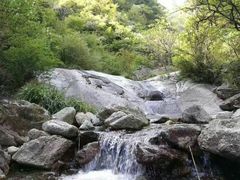 -王顺山国家森林公园