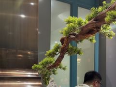 -高玛纳驴肉火烧(河间总店)