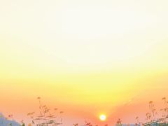-光明小镇欢乐田园