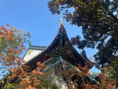 -月湖风景区
