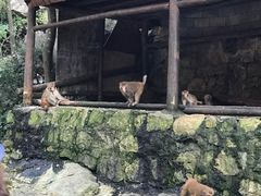 -罗田天堂寨风景区