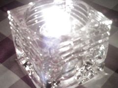 小灯-百好乐宠物友好餐厅(朝外大街店)