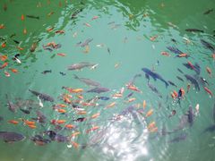 -山西通天峡景区