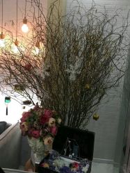 -新蝶变皮肤管理中心