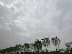 -洨河生态公园