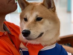 -欧奕国际动物医院