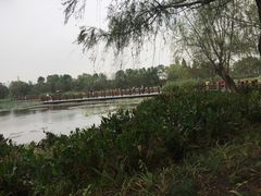 -长兴太湖图影湿地文化园