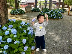 -陈武帝故宫