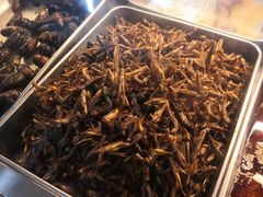 -万顺啤酒屋(皇寺路店)