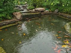 -思念果岭悦温泉