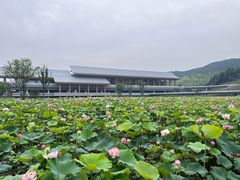 -东钱湖旅游度假区