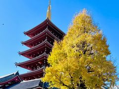 -浅草寺