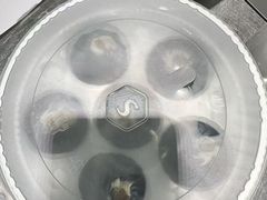 -苏小柳点心·手作小笼包(新街口分院店)