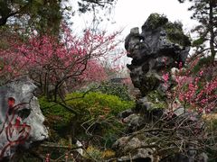 -杭州植物园