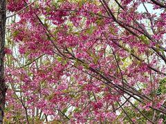 -梁鸿国家湿地公园